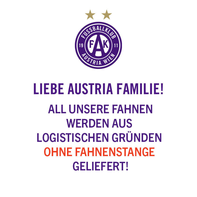 Fahne 60x40 Logo ohne Stange