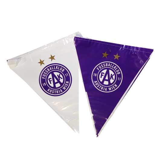 Party Wimpelkette Logo