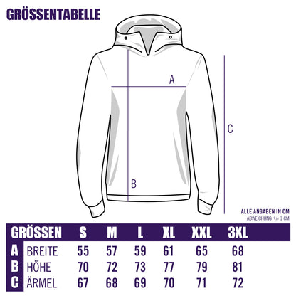 Sweater Austria Wien beige