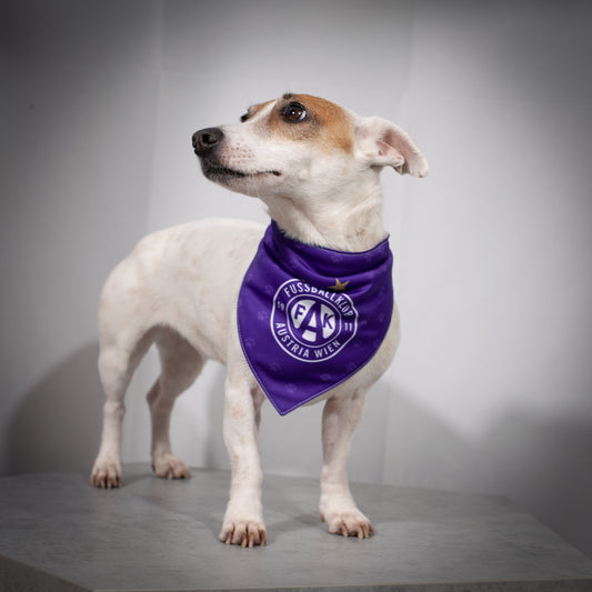 Hunde-Bandana