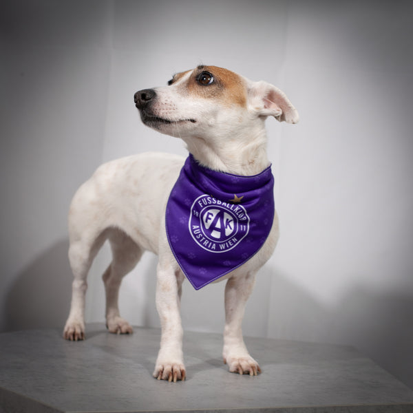 Hunde-Bandana