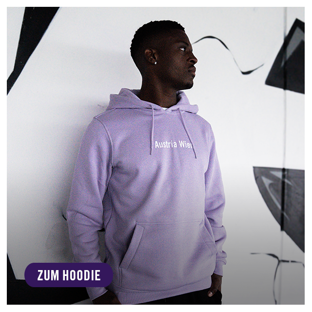 TEASER_Hoodie Austria Wien_neu01.png